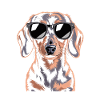 Teckel