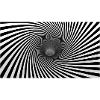 Hypnotic Black White Spiral