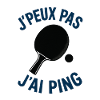 I can't I Ping
