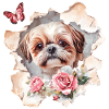 Shih Tzu with Butterfly