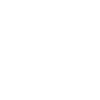 Evolution Run Fitness Silhouette