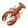 Lobster in embroidered look (printed)