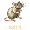 Rat Rat