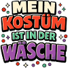 Fasching Kostüm Wäsche Spruch Lustig Geschenk