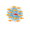 Sei anders Fische Gegen den strom