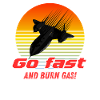 Go fast and burn gas ! Blackbird