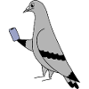 Pigeon Checking Phone – Minimal Illustration