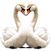 Swan Heart Silhouette