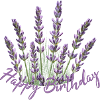 Lavender Birthday Bouquet Lavender Bouquet