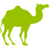 Glowing Camel Silhouette