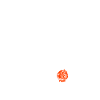 Line Dance Logical Skull