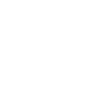 Don’t Believe Everything You Think Statement