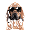 Bloodhound