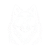 Poméranienne chien spitz blanche