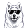 Alaskan Malamute