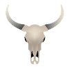 Crâne de buffle