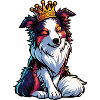Australian Shepherd Aussie Aussie Owners Aussies