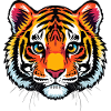 Cute tiger head