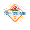 Amsterdam Capital Netherlands Tulips Souvenir