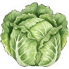 Lettuce Leaf Art