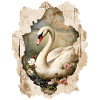 swan