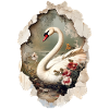 cygne
