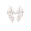Guardian Angel Is My Son