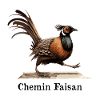 PHEASANT PATH!