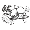 Skeleton Bobsleigh Winter Sports Sled