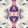 Arctic Wolves Kaleidoscope