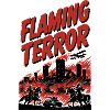 Flaming Terror: City Fire
