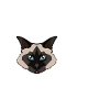 Birman-Katzen-Liebe lustige Rasse-Illustration