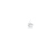 Border Collie Herzschlag-EKG-Lebensleinenhund