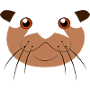 Niedliches Ottergesicht-Tier Faules DIY-Kostüm