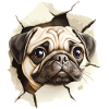 Pug