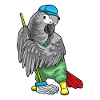 Parrot Cleaner Mop Cleaning