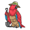 Parrot Gardener Shovel Garden