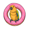 Papagei Donut