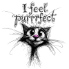 I feel purrrfect – cute cat