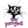 Super cute cat - I feel purrrfect