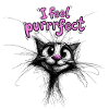 Cute Kittens - I feel purrrfect