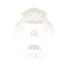 Shakespeare's monkey