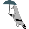 Pigeon with Umbrella – Urban Minimal Illustration