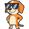 Sonnenbrillen Hund Pose