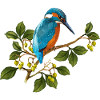 Bunter Vogel