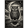 mystical owl
