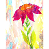 Une fleur