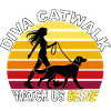 Diva Catwalk - Watch Us Shine Retro