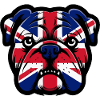 Union Jack Bulldog Portrait
