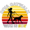 Diva Catwalk - Watch Us Shine Retro